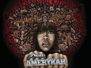 Erykah Badu - New Amerykah Part One (4th World War) [New Vinyl LP] Colored Vinyl