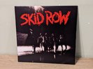 Skid Row – Skid Row LP silver metallic coloured vinyl record 12