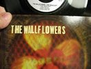 THE WALLFLOWERS ONE HEADLIGHT EP ON UK INTERSCOPE WITH PICTURE SLEEVE