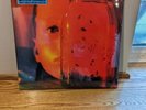alice in chains vinyl jar of flies/sap grunge