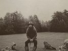 Vtg 1970 GEORGE HARRISON Album ALL THINGS MUST PASS Vinyl w POSTER 3Lp OG EX/EX