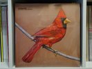 Alexisonfire Old Crows / Young Cardinals 2x vinyl lp 45rpm Dallas Green AOF