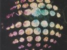WARLOCKS, The - Rise & Fall - Vinyl (LP)