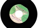 Roots Reggae Dub Scatter Light Rock - God's Children - Glen Brown - PANTOMINE 7