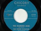 Garage Psych 45 - Higher Elevation - Diamond Mine/Crazy Bicycle - Chicory - VG+