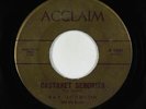 R&B Popcorn 45 - Ray Johnson - Castanet Senorita - Acclaim - mp3