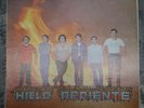 HIELO ARDIENTE S/T RARE LATIN FUNK PSYCH GARAGE ROCK DISECA 1059
