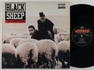 Black Sheep 