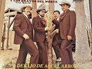 Ramon Ayala Y Los Bravos Del Norte Debajo De Aquel Arbol 33rpm Vinyl Record