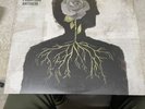 August Burns Red Phantom Anthem  2LP LTD ED Trans Sea Blue 2017 FEARLESS VG++