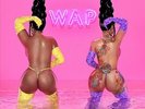 WAP (FEAT. MEGAN THEE STALLION NEW VINYL RECORD