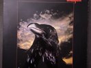 THE STRANGLERS THE RAVEN VINYL LP A1U/B1U First Press UAG 30262 Porky Prime Cut