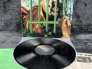 LP Tygers Of Pan Tang – The Cage | Japan | Vinyl | Schallplatte | Heavy Metal
