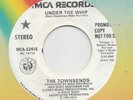 MODERN SOUL BOOGIE --  TOWNSENDS -- UNDER THE WHIP  -- ORIGINAL  US  7