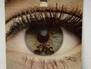 1968 MONO  2nd Lp by THE 