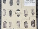 BASQUIAT + GRAY SHADES OF... LP - Plush Safe 2013 Pressing M/M