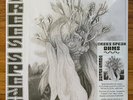 TREES SPEAK - OHMS (LTD VINYL + 7” SINGLE)