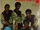 THE WHATNAUTS: Introducing US Stang George Kerr OG ’71 Soul Funk LP Vinyl SEALED