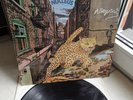 Nucleus – Alleycat, Vertigo – 6360 124, UK 1975 Jazz, Jazz-Rock Vinyl, LP