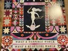 Decemberists - What a Terrible World: What a Beautiful World Vinyl LP See Photos