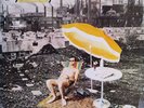 Supertramp Crisis What Crisis Australia pressing 12'' vinyl Lp MINT 1975 rare