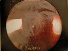 Death SS Black Mass LP VINILE Picture Disc