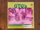 GTO'S Permanent Damage psych STRAIGHT LP gatefold white label promo ZAPPA