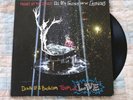 Panic  At The Disco - All My Friends We're Glorious: Death Of A Bachelor Tour LP