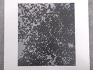 Masato Minami The Tropics LP Klimt reissue Les Rallizes Denudes psych folk prog