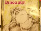 Dinosaur Jr. You're Living All Over Me LP (1987) SST-130 Water Damage