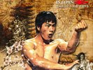 Lord Beatjitzu Bruce Li in Japan (Vinyl) 12