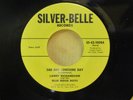 45  RARE BLUEGRASS on SILVER-BELLE GS-45-1008 by LARRY RICHARDSON  EXCELLENT
