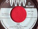 JOHNNY BRAFF _ Island Northern Soul _ SHE 45 BLUE RHYTHM COMBO Barbados 7