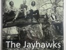 The Jayhawks - Tomorrow the Green Grass LP Sealed 2014