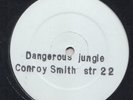 ELECTRO JUNGLE --  CONROY SMITH -- DANGEROUS JUNGLE -- UK    12
