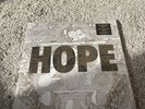 Hope by Manchester Orchestra (Record, 2014) Vinyl LP