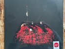 CONAN GRAY - SUPERACHE GREEN VINYL LP / SIGNED PRINT & PHOTOS, LYRICS, POSTERS