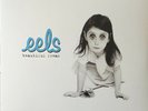 Eels 