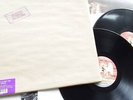 LED ZEPPELIN In Through The Out Door 2LP Vinyl 2015 A Sleeve Variant Swan Song