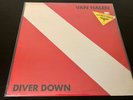 VAN HALEN Diver Down 1982 Original LP SEALED w/Hype