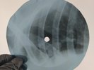 CHUCK BERRY JOHNNY B GOOD  X-Ray USSR Record Roentgen Bones Ribs Music Vinyl