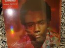 Childish Gambino - Because the Internet - 2 LP Pink Color Vinyl (New/w Hype)