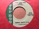 1966 THE MERSEY BEATS USA 