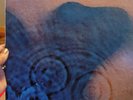 Pink Floyd, Soul Asylum, Blackboard Jungle Dub, HUSKER DU Vinyl Albums