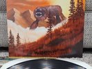 Weezer - Everything Will Be Alright In The End Lp B002162101 Vinyl 2014 Rare VG+