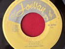 JOEY LEWIS Jala Jala 45 RICARDO RAY Rio Crecido - Los Noveleros Latin CALYPSO