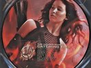 The Hunger Games: Catching Fire Soundtrack EURO 2 LP PICTURE DISC 45rpm NEW RARE