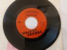 POINTER SISTERS - Send Him Back - WRIGHT SOUNDS - NORTHERN SOUL - 70's REISSUE