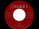 GARAGE-FANTASTIC DEE-JAYS-SHERRY 308/309-APACHE/THIS LOVE OF OURS
