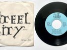 RARE Pueblo Colorado Hispanic Disco Steel City Band Reality New Life 1979